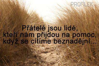 pratele-jsou-lide-kteri-nam-prijdou-na-pomoc