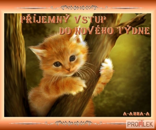 pro-tebe-vazim-si-te